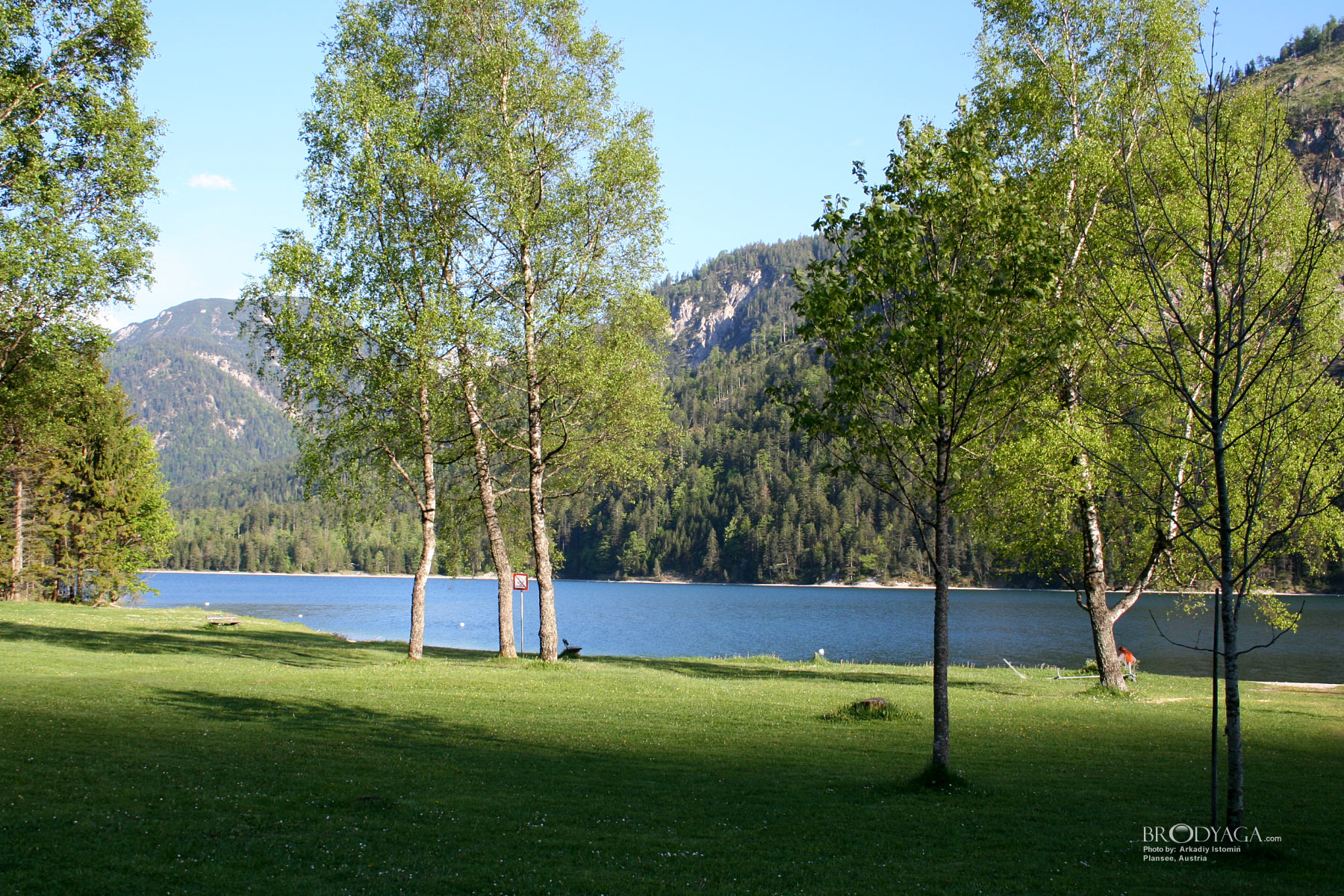 Plansee